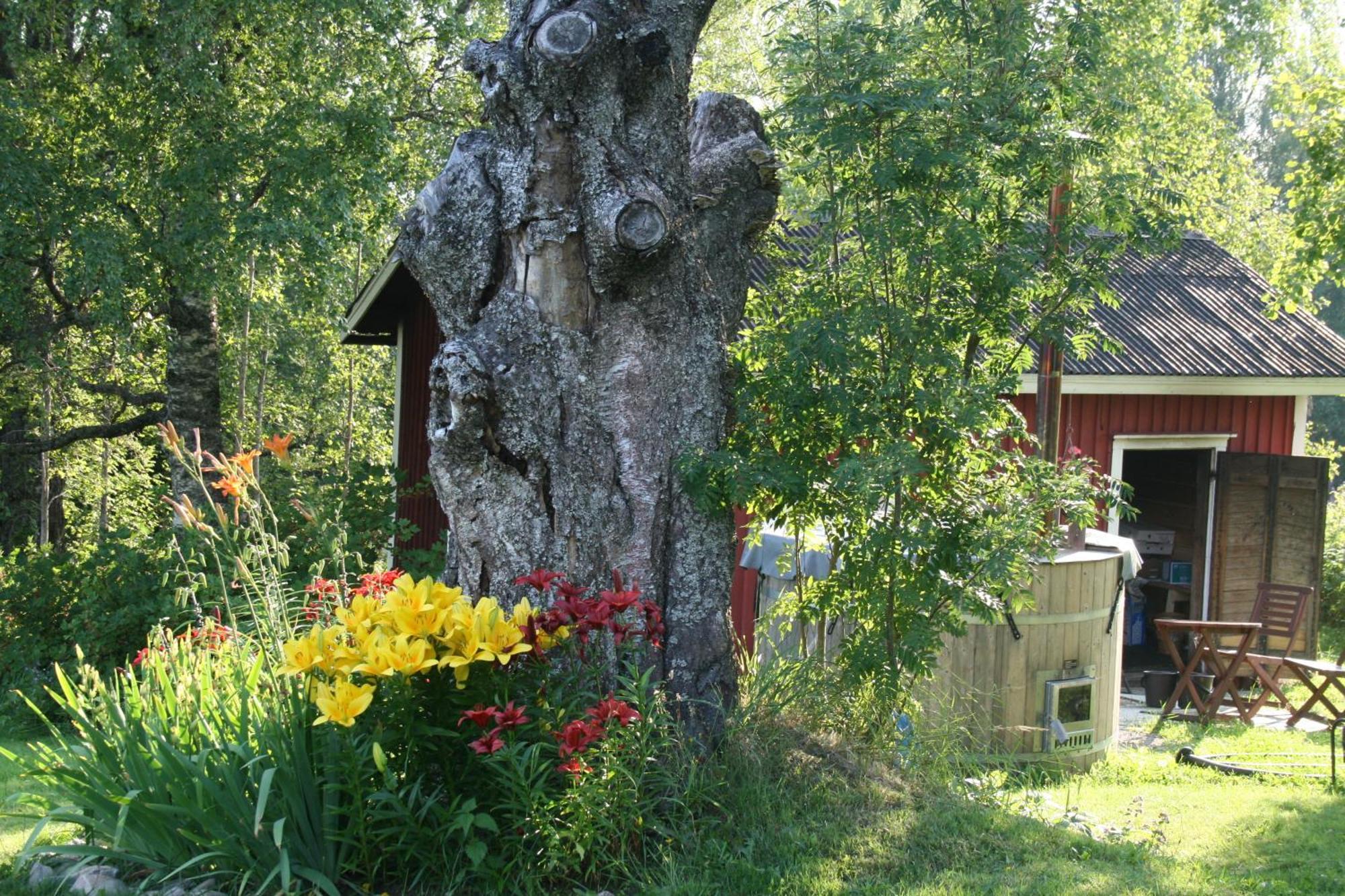 Villa Valkeisen Loma Ähtäri Esterno foto